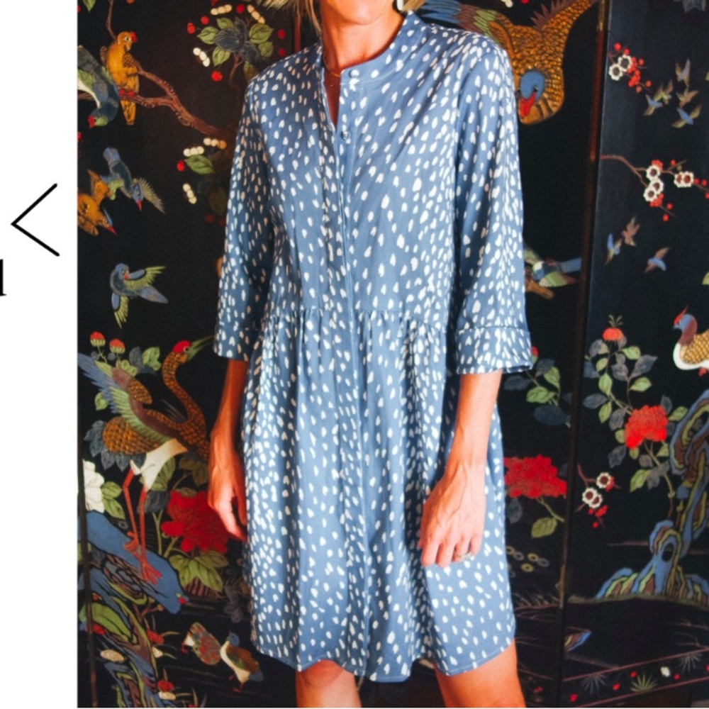 Tuckernuck Royal Shirt Dress Blue Antelope